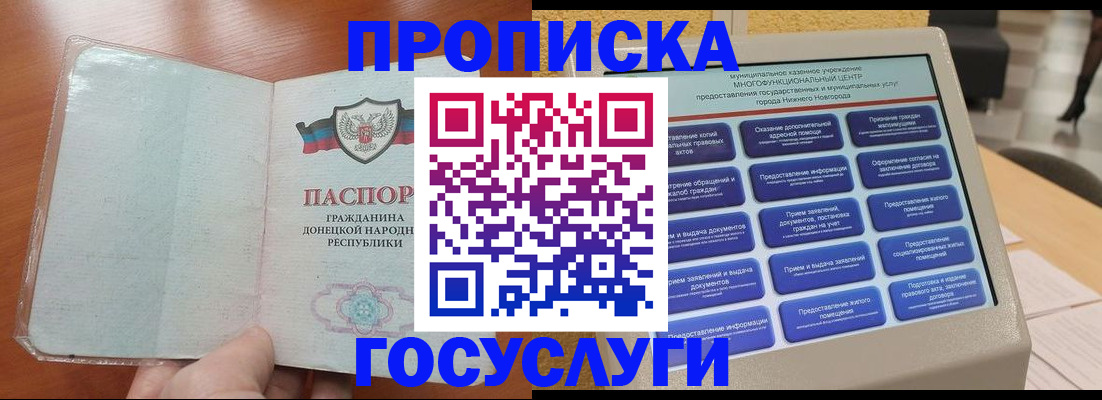 временная регистрация поиск в Камчатской области